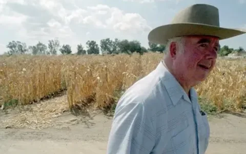 Who Is The Founder of Taco Bell? A Look at Glen Bell’s Legacy